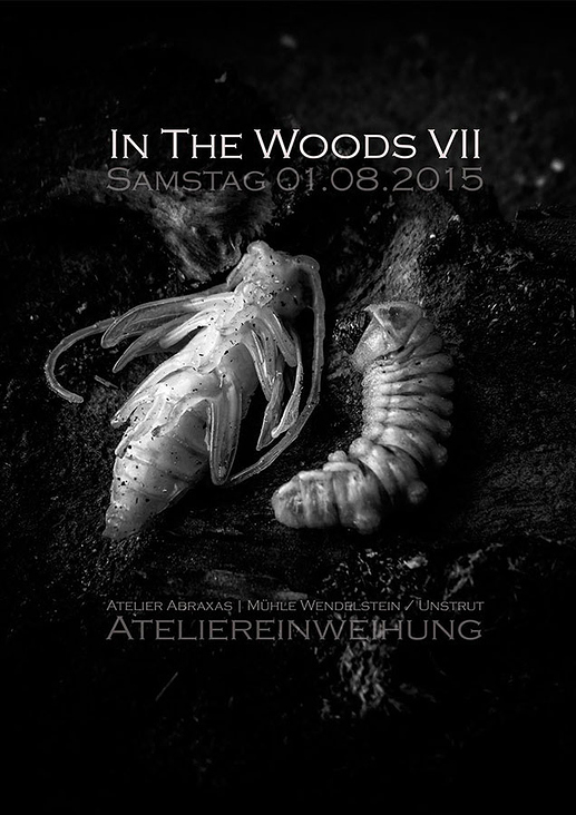 Poster & Flyer: In The Woods 2015