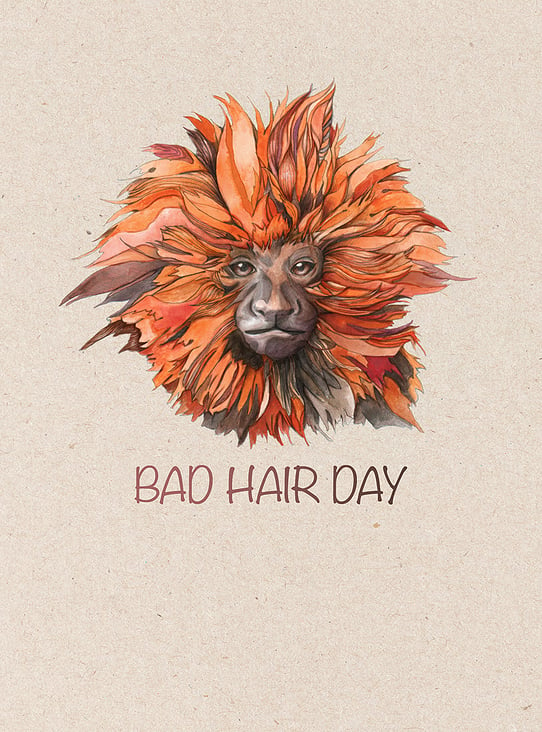 Bad Hair Day – Löwenäffchen