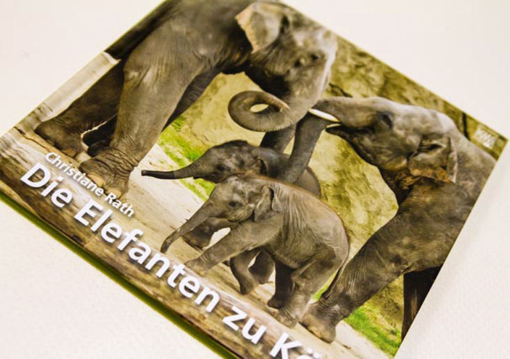Elfeantenbuch Zoo Köln
