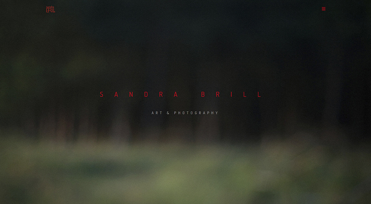 www.sandrabrill.com