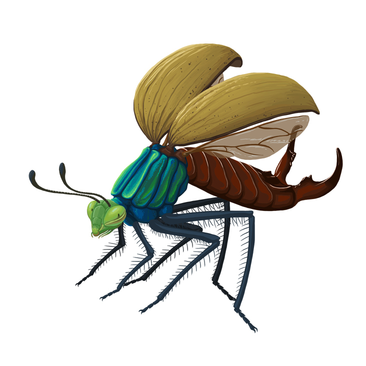 Insect Builder Spiel – Beispielinsekt