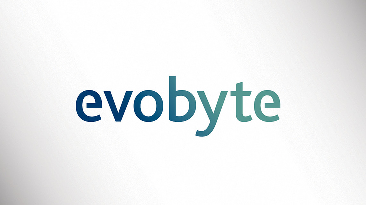 evobyte | Naming | Typedesign | Logodesign | Corporate Design