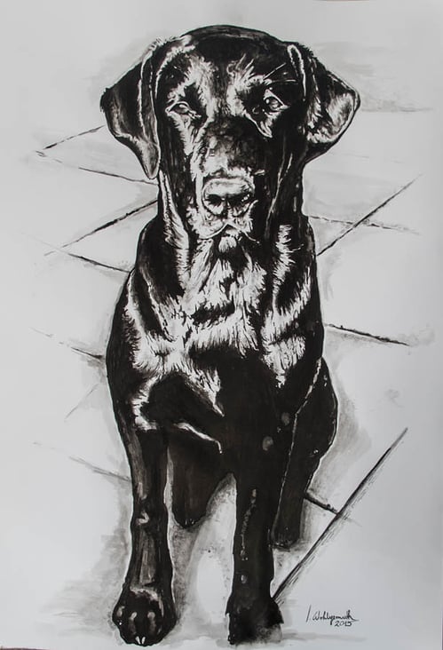 Portrait „Hund black“