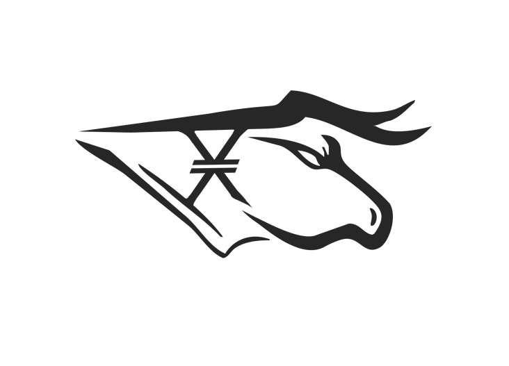 XNFTrading Logo Desgin