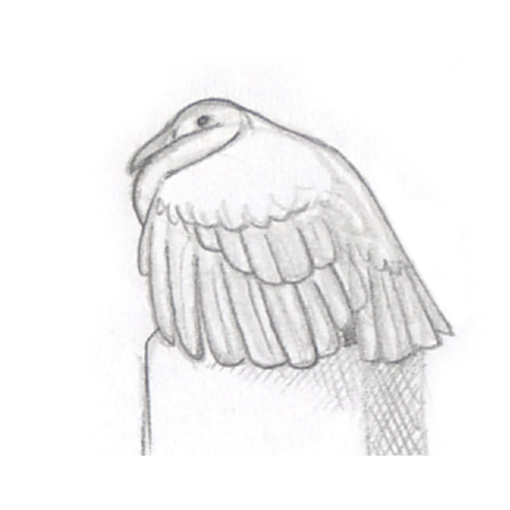 Entwurfs-Skizze, Sitzender Vogel