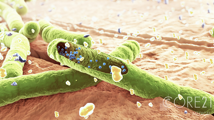 3D-Animation Pharma: antibakterieller Wirkmechanismus I