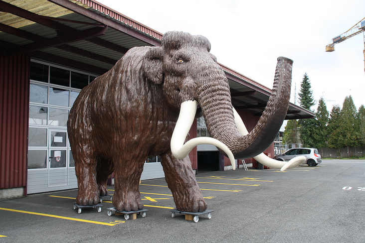Das 4-Meter-Mammut