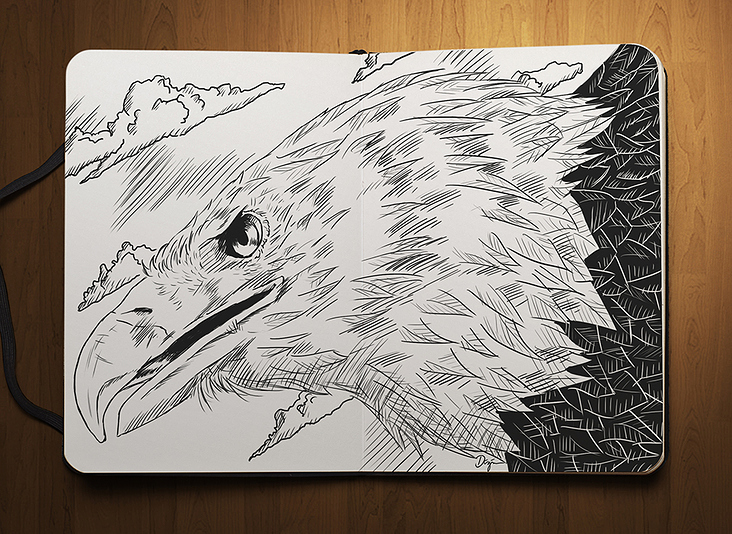 Sketchbook – Eagle