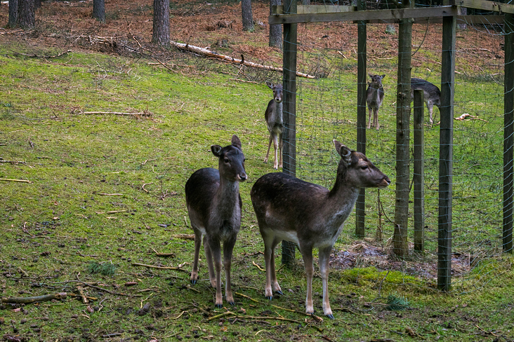 HeidnerFotografie21