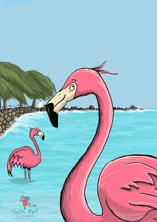 Flamingo Beach