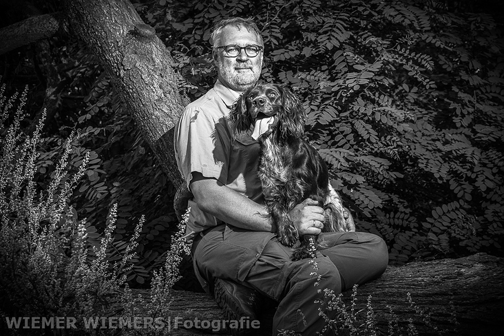 Wachtelhund Portrait