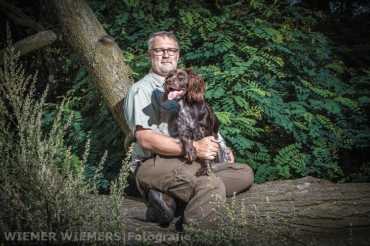 Wachtelhund Portrait