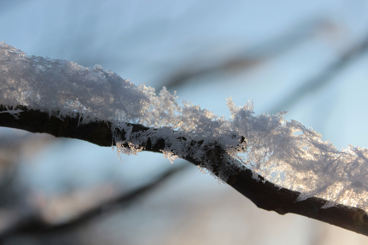 Snowflakes