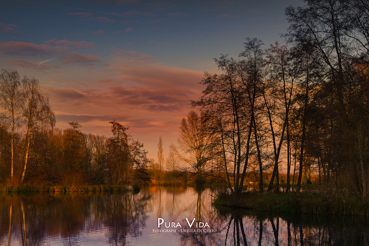 Abendlicht