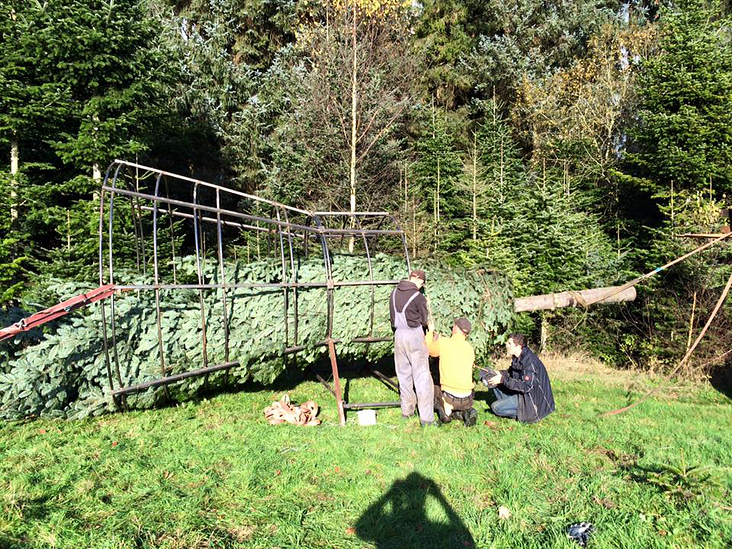 weihnachtsbaum preise 2016 von firma webseite dasauge 174 weihnachtsbaum preise 2016 von firma webseite dasauge 174