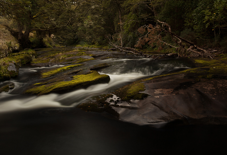 Catlins River, NZ