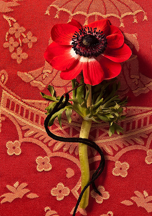 anemone genäht