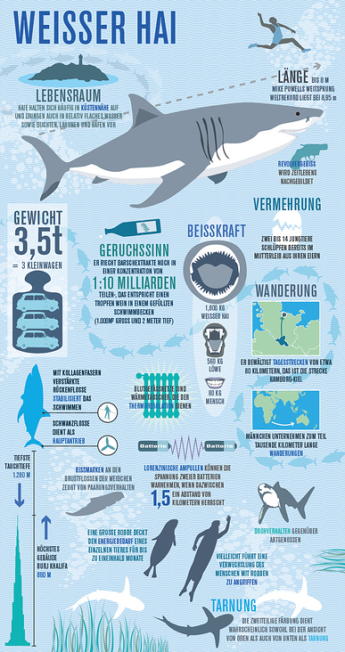 Infografik Hai
