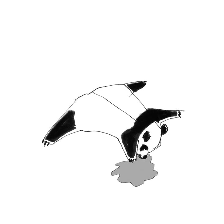 Panda sad