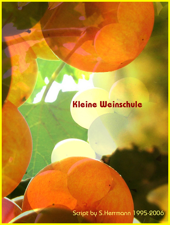 Cover: Kleine Weinschule