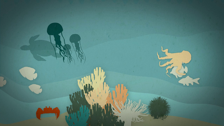 Screenshot Erklärvideo Biodiversität