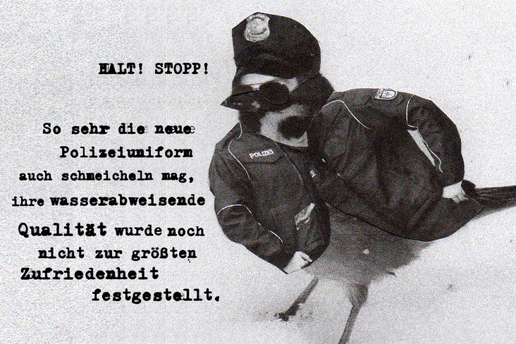 5 polizeivogel typo