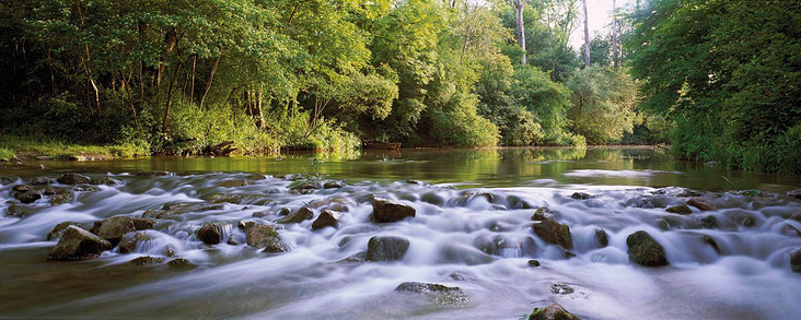 Mitterwasser