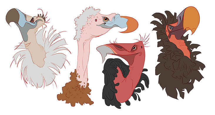 vulture heads: personal character design piece