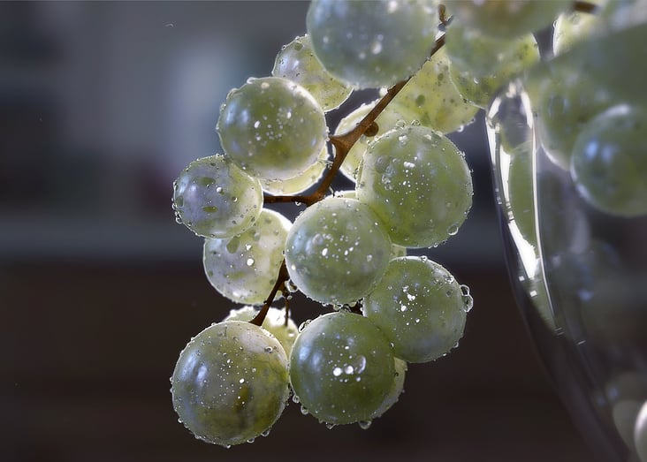 Grapes