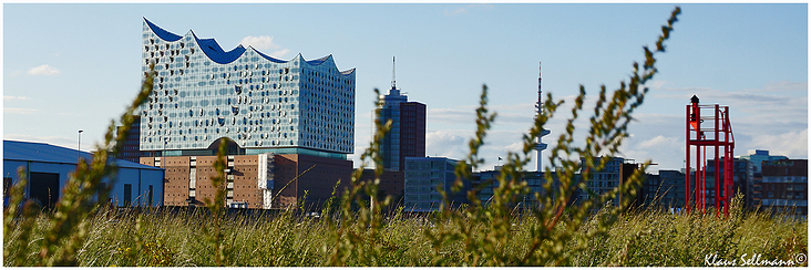 Blick aus dem Grünen