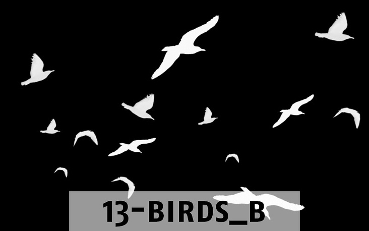 Beispiel für Pinsel-Set: Birds