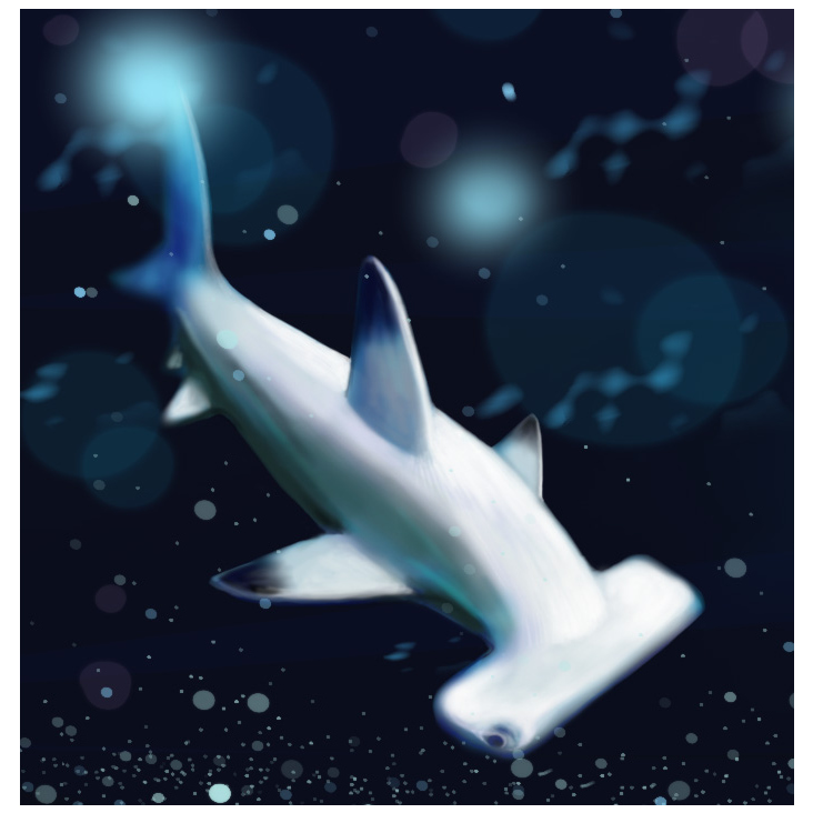 Detail Hammerhai des Hintergrunds für die Website des Haifisch Clubs – digital drawing