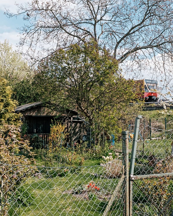 pmagura grenzen der nachbarschaft-05