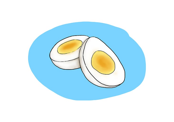 eggs illustration