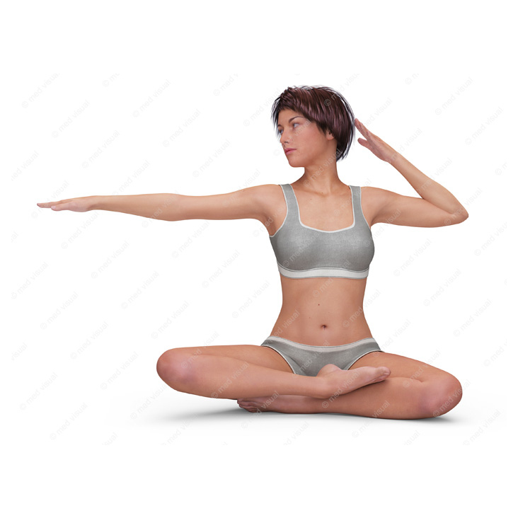 Anleitungsillustrationen: Yoga-Positionen