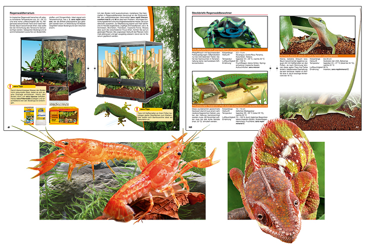 Ratgeber / Broschüre zum Thema Reptilien