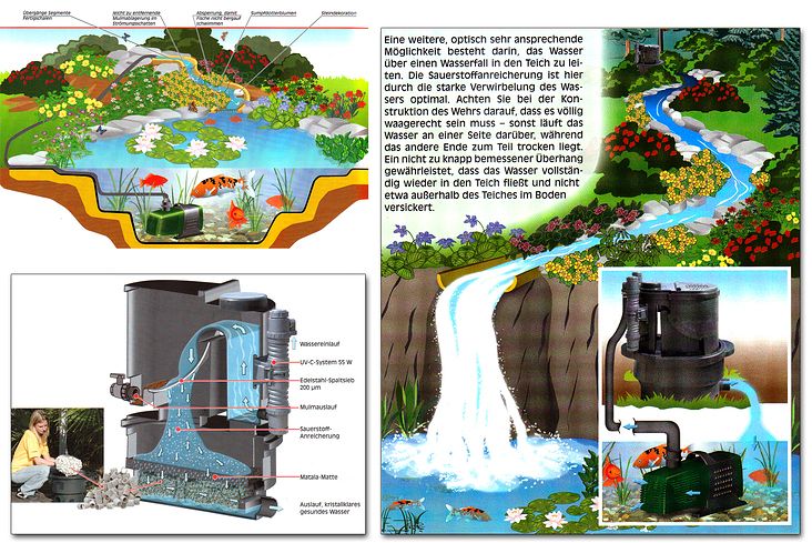 Illustrationen Thema Wasserfilterung im Teich / Bachlauf