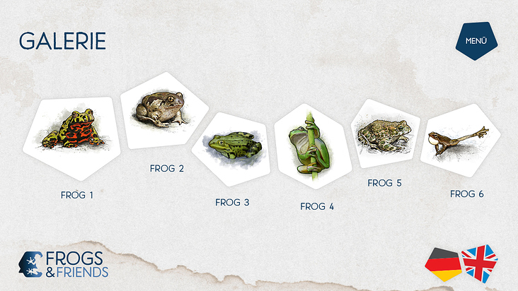 Illustration für interaktiven Screen, Ausstellung Frogs & Friends e.V