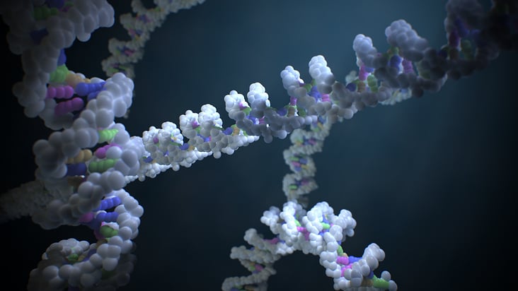 DNA