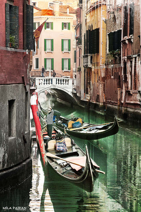 Venezia