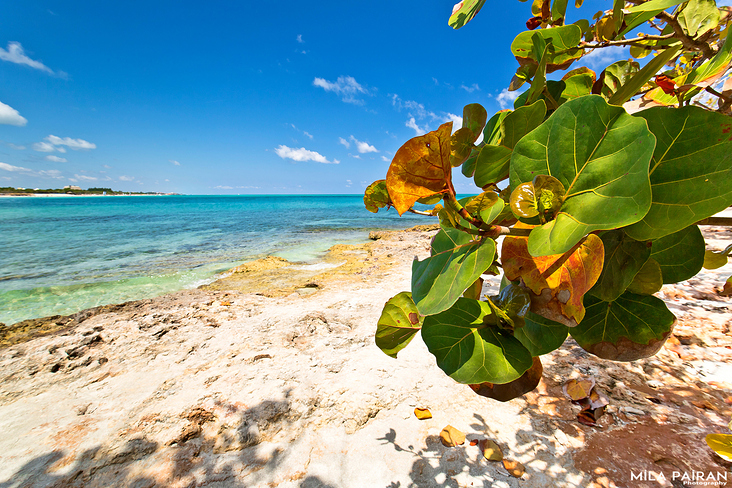 Cuba. Varadero