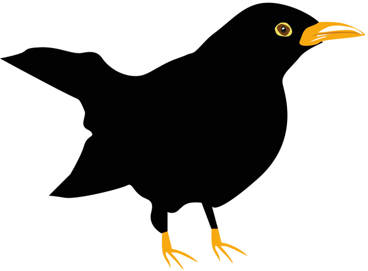 Amsel