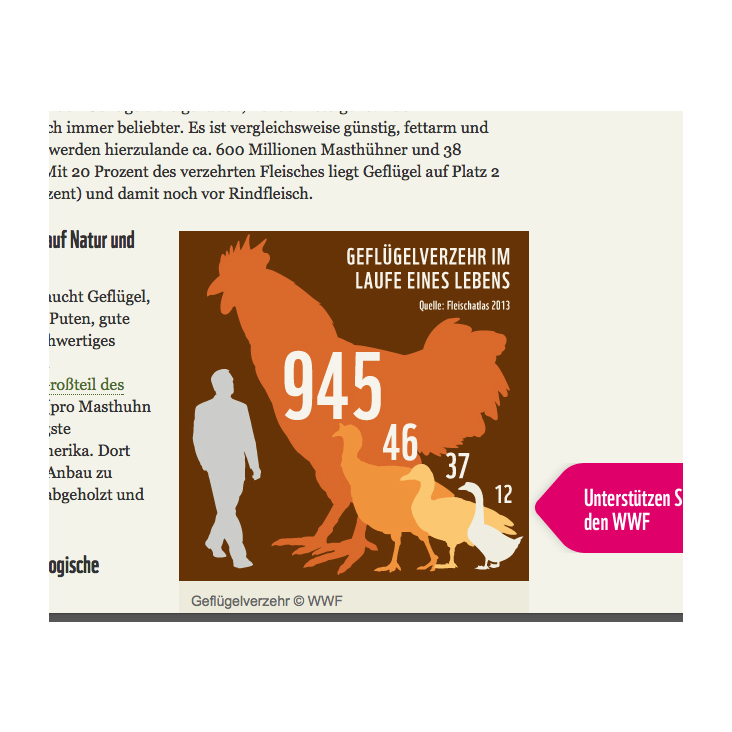 Infografik für die WWF Deutschland Seite (Wundermedia)