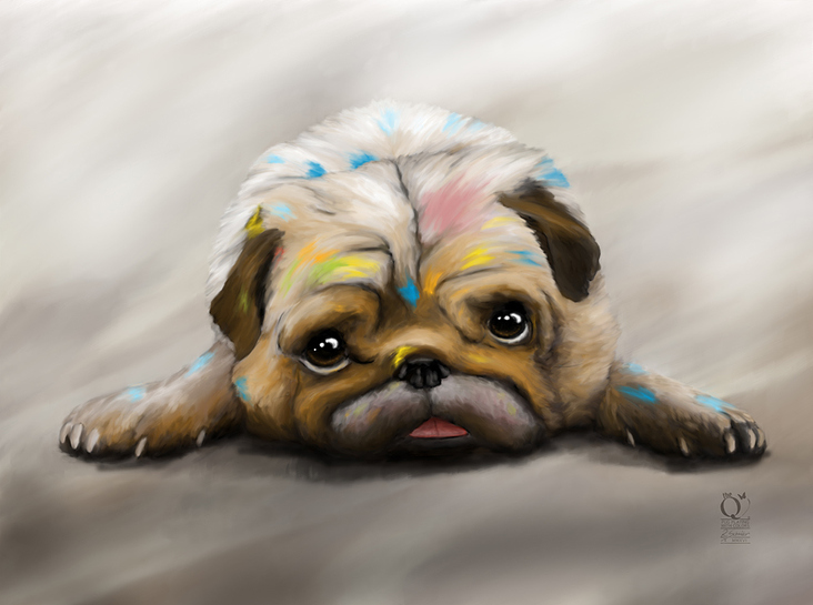 PUG PLAYING WITH COLORS