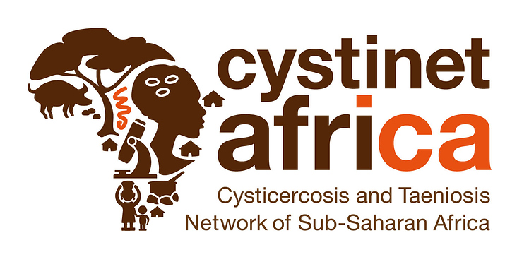 Corporate Desing Cystinet Africa