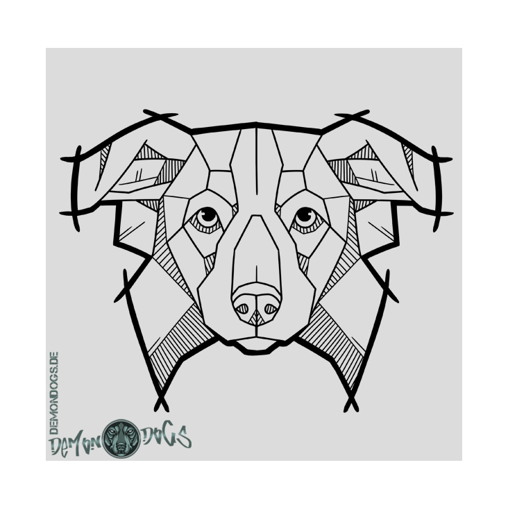 Splitterhunde – Border Collie – Shop Design – DemonDogs