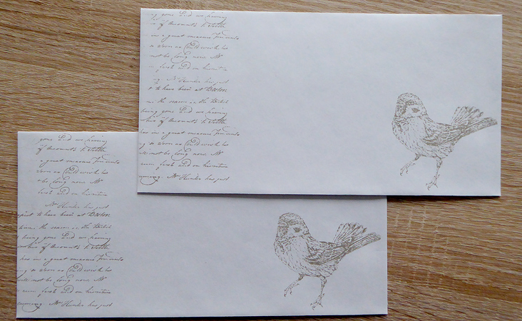 Umschlag-2-Vogel-und-Schrift