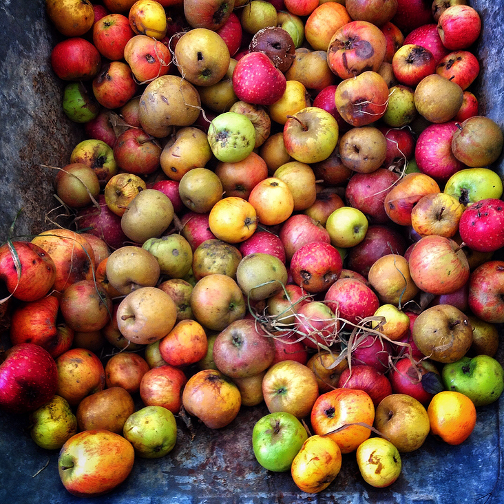 Foodstyling und Foodfotografie: Äpfel