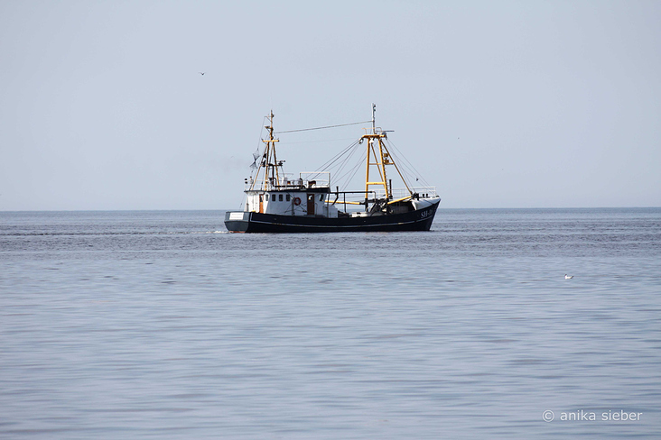 Schiff