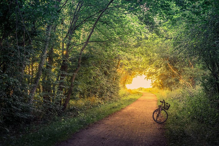 Einsames Fahrrad an einem Waldweg